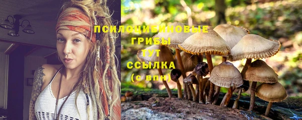 гидра Армянск
