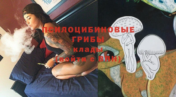 синтетический гашиш Арсеньев