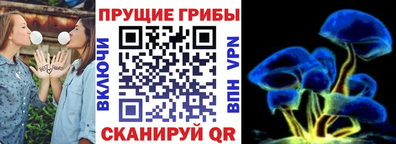 где купить   Каспийск  Псилоцибиновые грибы прущие грибы 